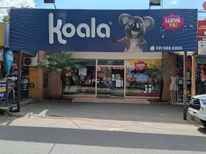 Koala Luque 2